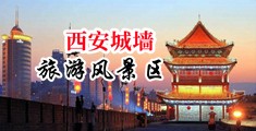 男人开房请女人操逼的网站视频中国陕西-西安城墙旅游风景区